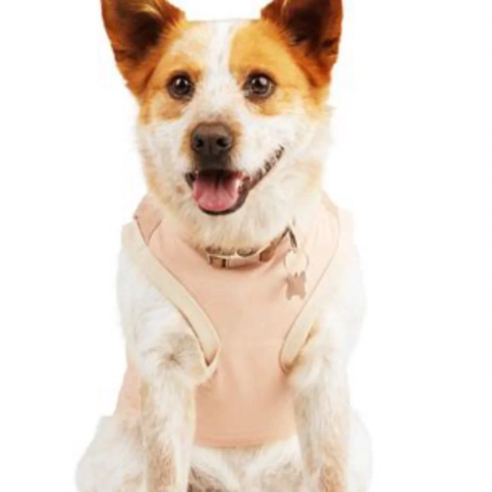 NWT Bundle 2 Reddy pink camo dog tank tee top L